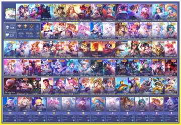 Acc VIP5445