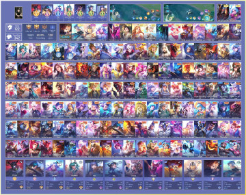 Acc VIP5423