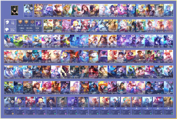 Acc VIP5402