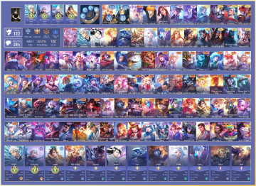 Acc VIP5417