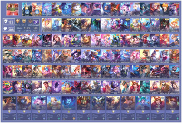 Acc VIP5416