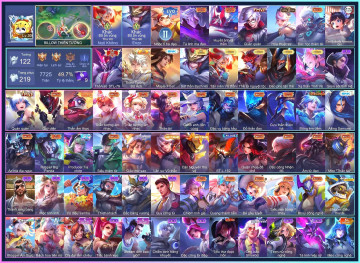 Acc VIP5444